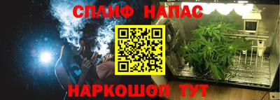 бошки Камышлов
