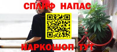 бошки Камышлов