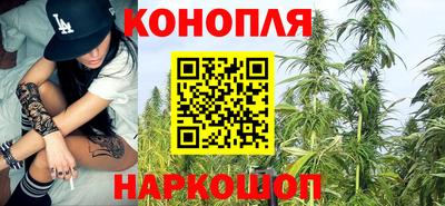 бошки Камышлов