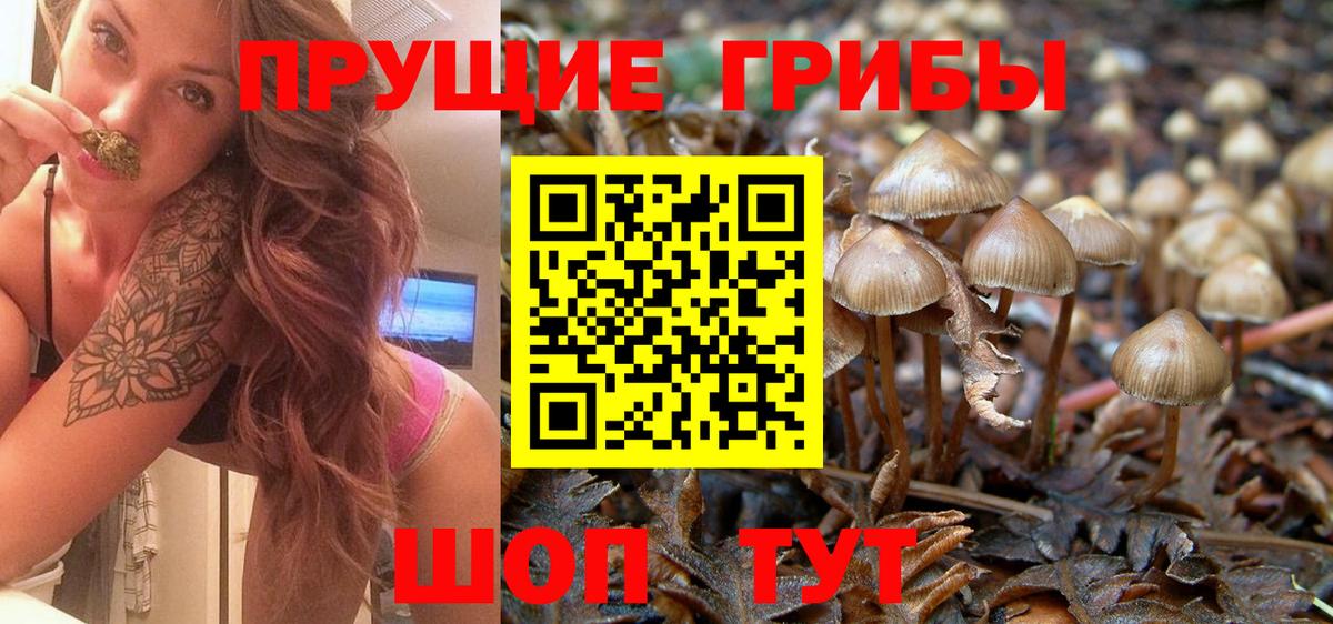 Псилоцибиновые грибы MAGIC MUSHROOMS Кузнецк